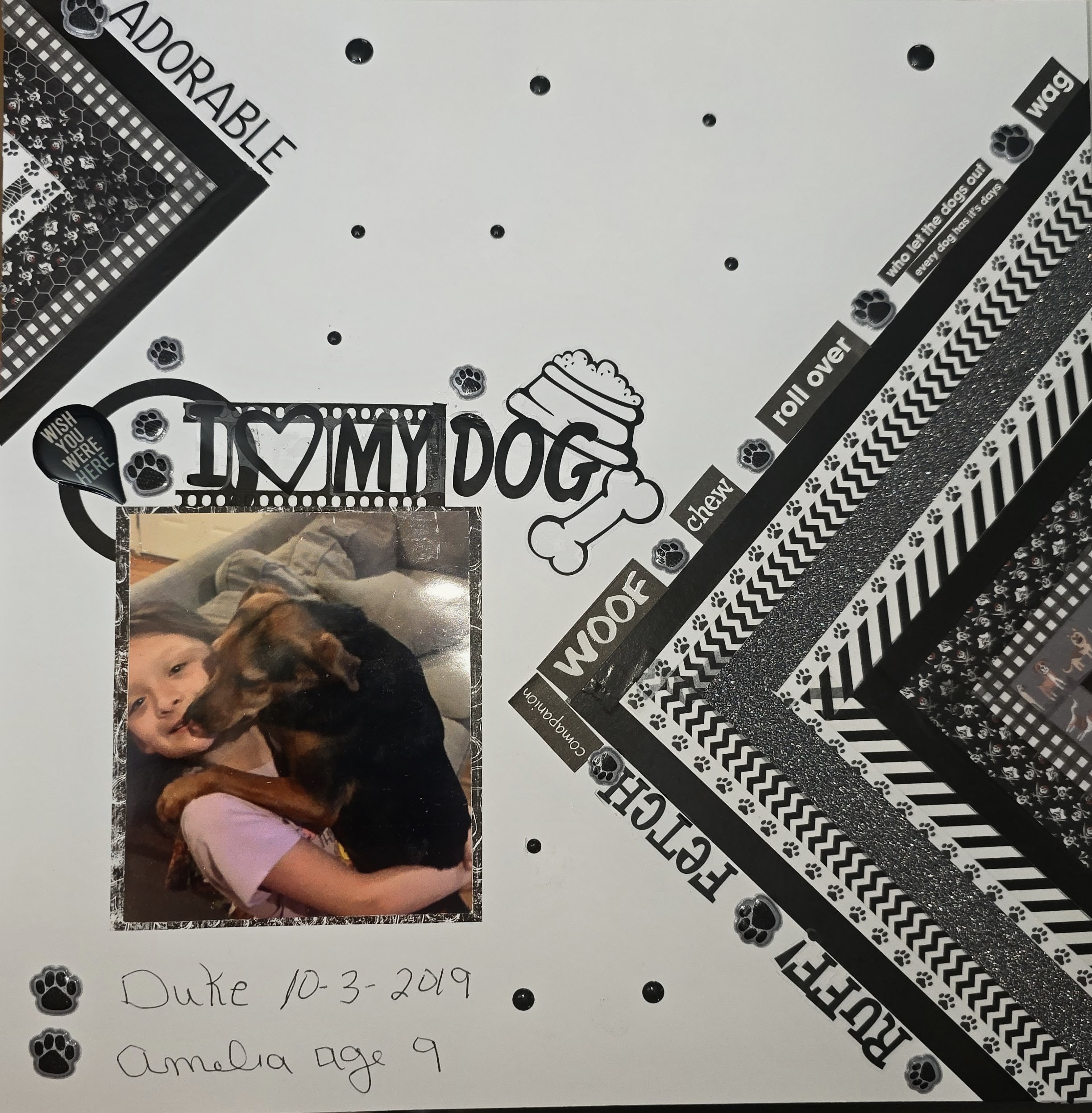 Amelia Layout