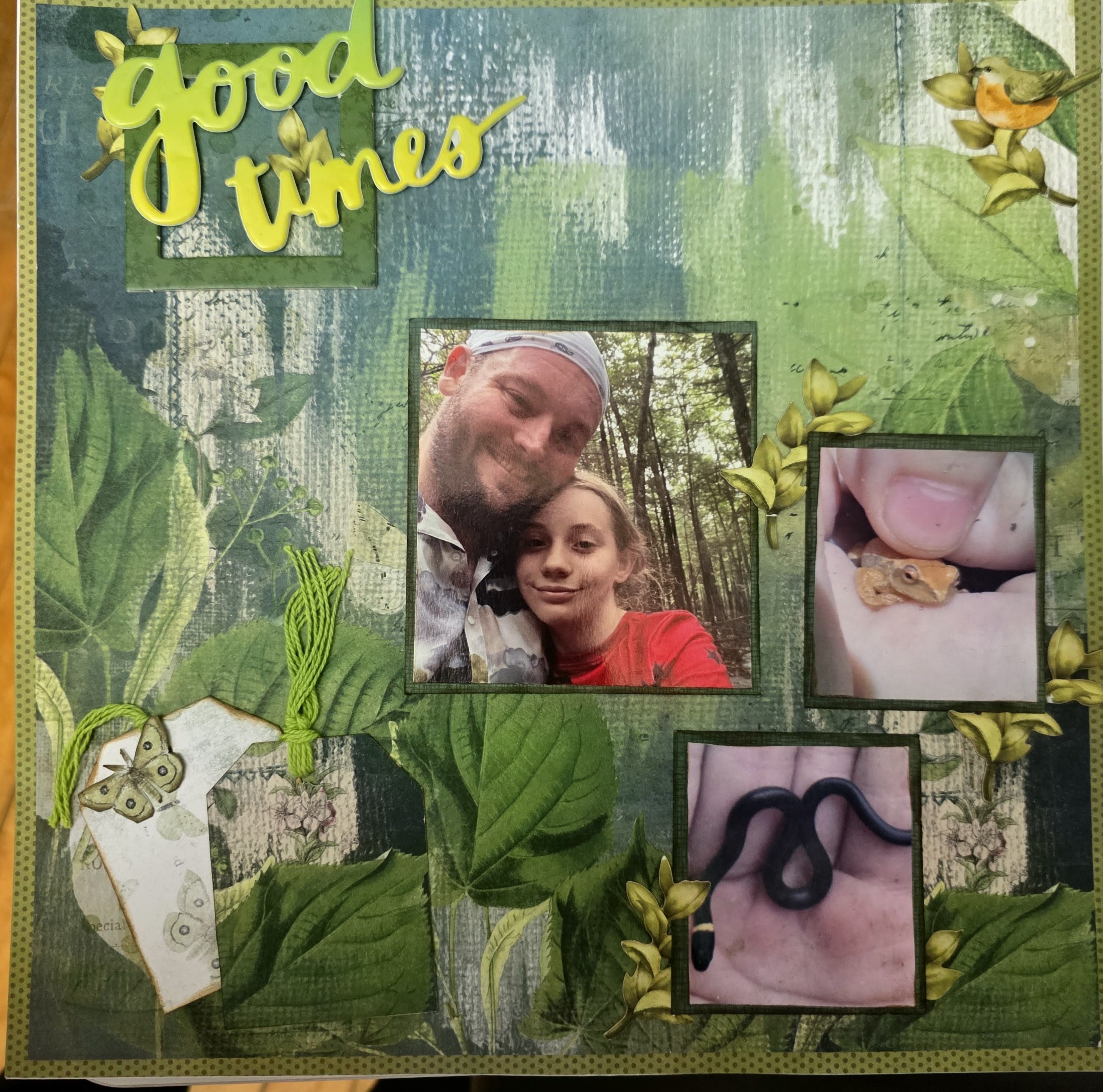 Charlotte Layout